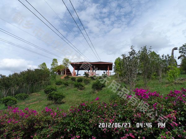 滑索成为旅游景区的新宠，吸引众多游客体验
